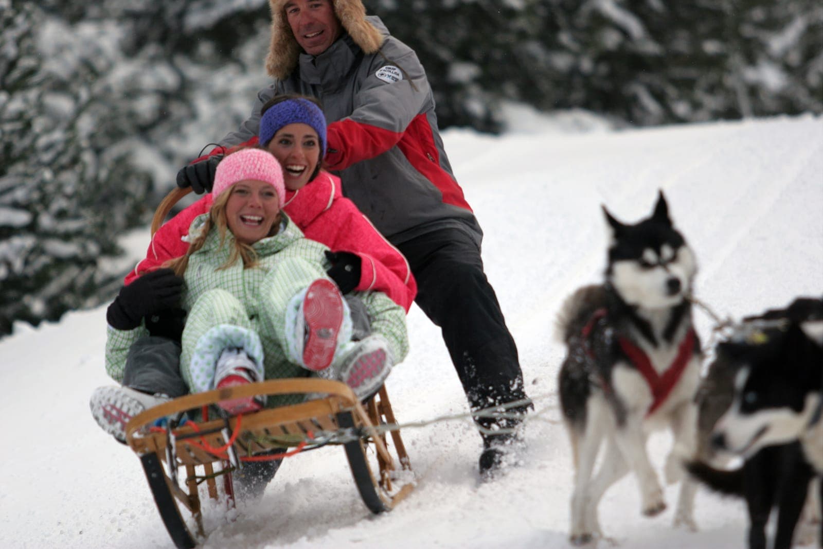 Dog sledding in El Tarter, Grandvalira