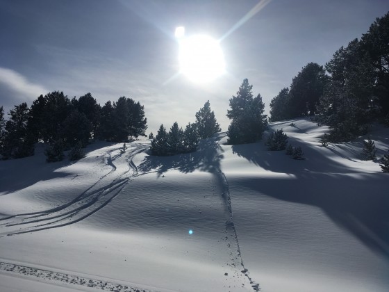 Snow and silhouettes on the Paniquera blue run