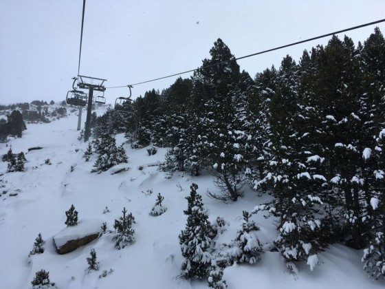 Snow covered trees under the TSD4 Portella lift (Gaig black run below)