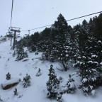 Snow covered trees under the TSD4 Portella lift (Gaig black run below)
