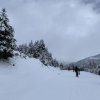 Bosc Fosc blue run, next to the Solana chairlift