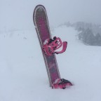 Buried Snowboard in El Tarter