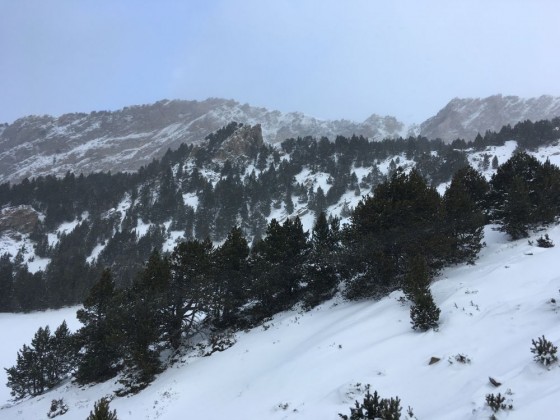 Snow day in Canillo