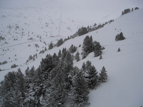 Snowy slopes 16/01/13