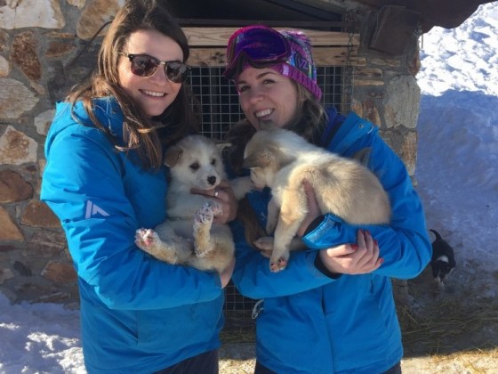 Andorra Resorts team with the puppies