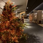 Christmas at Park Piolets hotel