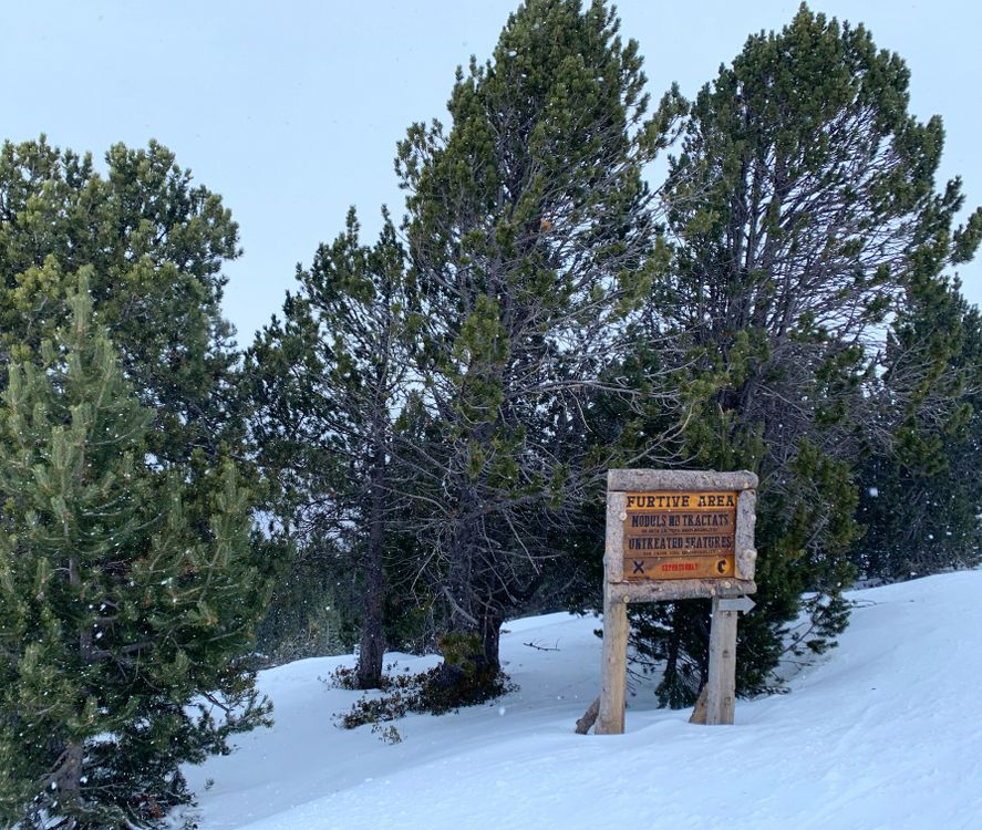 Expert's entrance to El Tarter snow park
