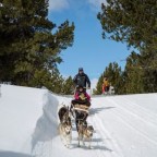 Dog mushing with guide 29/01