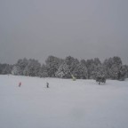 Snowy slopes 14/01/13