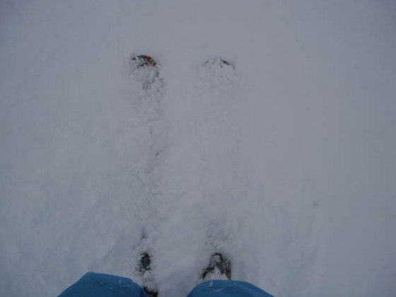 Skis....on piste 06/02/13