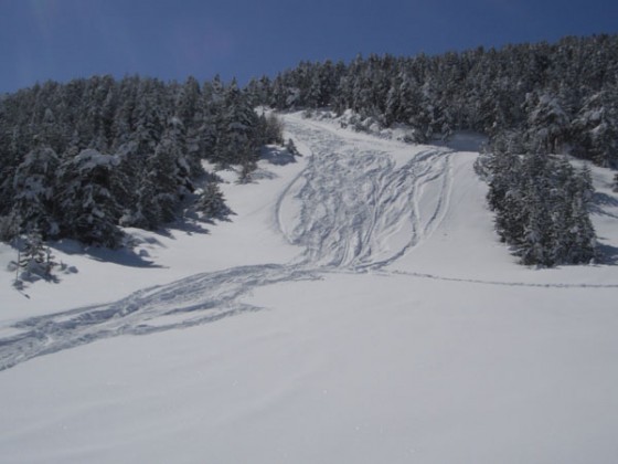 Tracks in the powder