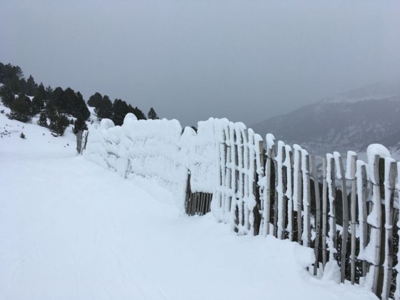 Frosty, snow covered fence by the TSD6 Solana lift